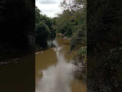 Rio Tapiracuí, em TAPIRA-PR ❤️ Inscreva-se no nosso canal