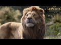Lion King 2019 Spirit Dutch Subs Trans
