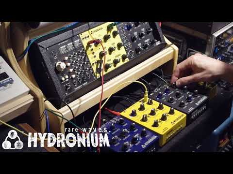 Rare Waves Hydronium Eurorack acid mono synth semi modular tb 303 voice with EQ and Distortion image 3