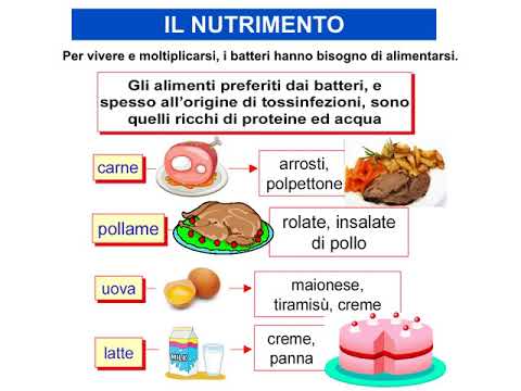 Il pene più affidabile Crema del fungo sul pene