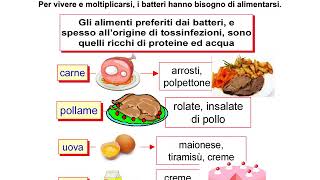 Microrganismi patogeni e meccanismi di contaminazione biologica