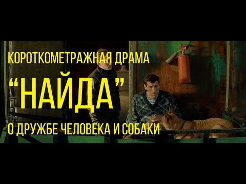 Найда (реж. Юрий Шолин) | короткометражная драма о дружбе человека и собаки