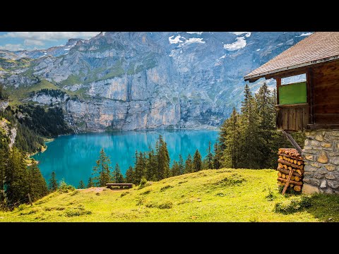 Throw Stress Away with Relaxing Piano Music & Beautiful Nature - Sleep Music, Stress Relief Music