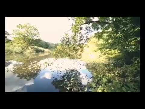 Billz hpf how many niggaz out now