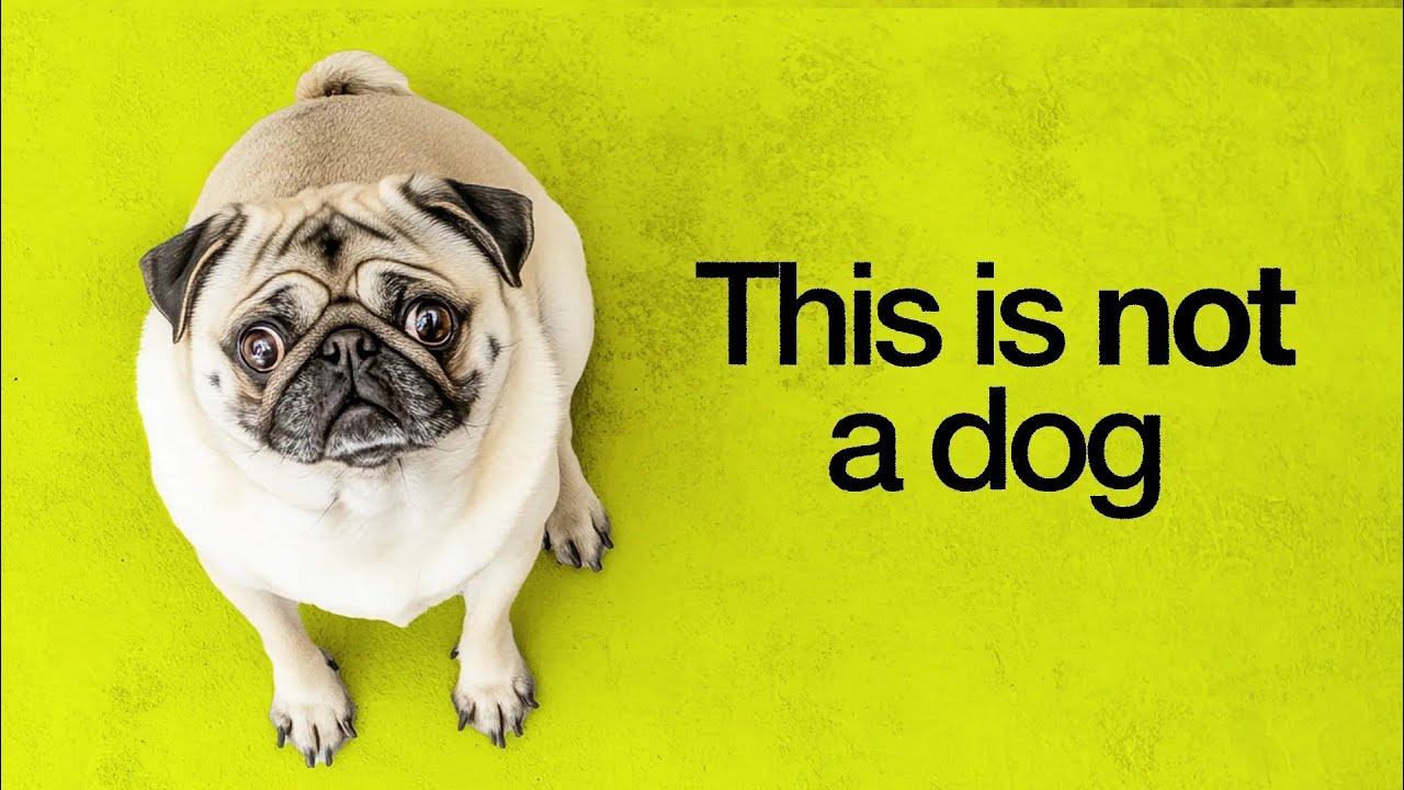 How Humans Ruined Dogs