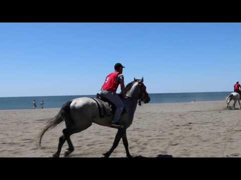 Gara e qendreses me kuaj 20km 2017 ne Velipoje - Fillimi