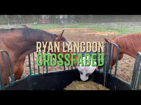 Ryan Langdon - Crossfaded (Official Video)