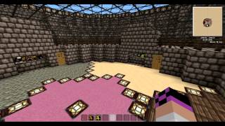 Minecraft Modded Arena: Bee vs Wasp!