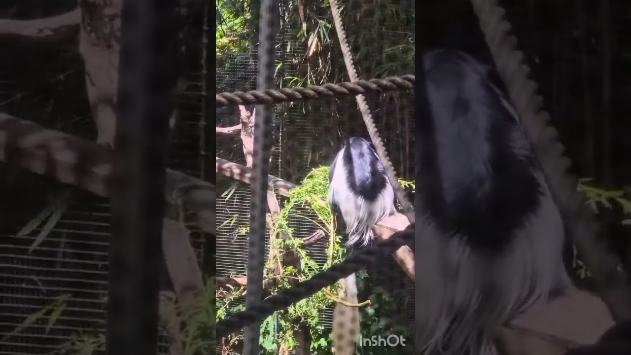 explore, grow 🌱 #LearnThroughNature #OutdoorLearning