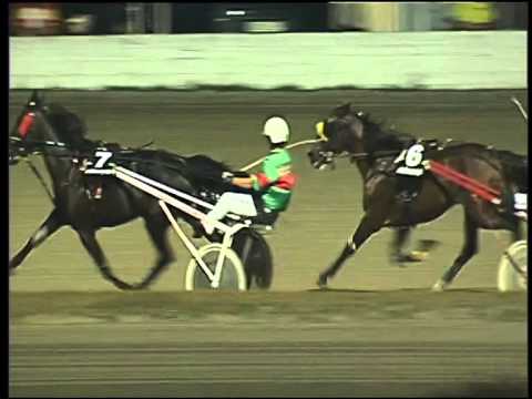 Trotto 21/06/2015 - 3° corsa