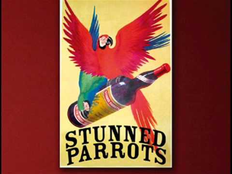 Every beat of my heart (Rod Stewart) sub Español- Stunned Parrots