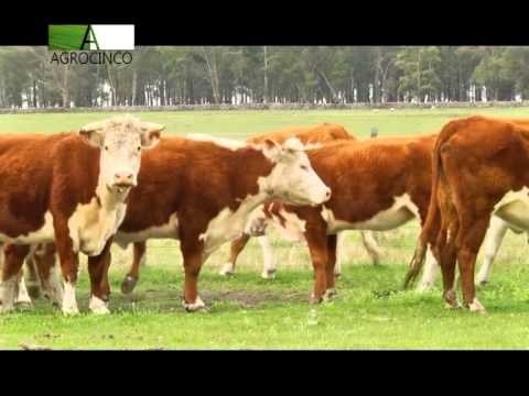 SOSA DIAZ DICOSE 13 6 14