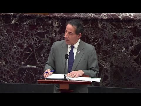 彈劾："這是美國嗎？"。拉斯金在彈劾審判中引用警察的話 (Impeachment: 'Is this America?' Raskin quotes police officer at impeachment trial)