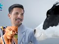 Top 5 Iklan Indonesia