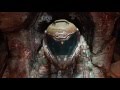DOOM Intro Playthrough (PC)