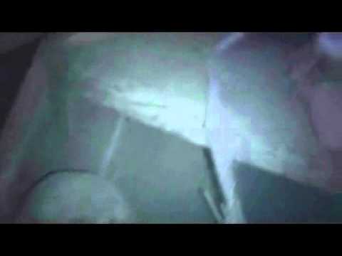 #1 haunted house in ontario #1 haunted house in ontario