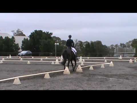 Foxhill Kaypers Eva95 SIEC 08/09/18