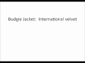 Budgie Jacket - International velvet