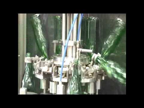 Used GAI Rinser, model 10009, from Vigo Ltd