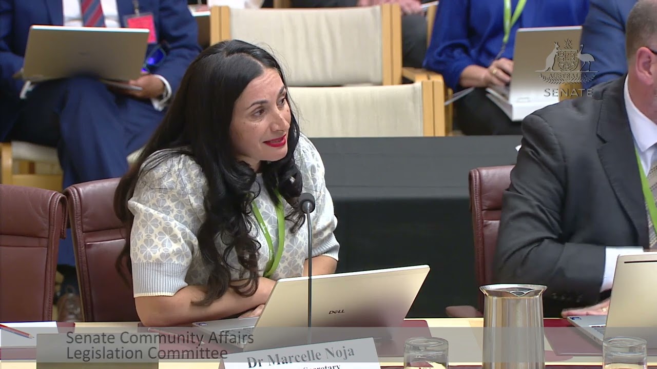 Australia Resists Mesh Ban Despite International Restrictions