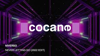 Download lagu NIVERSO - Never Letting Go (2022 Edit) mp3