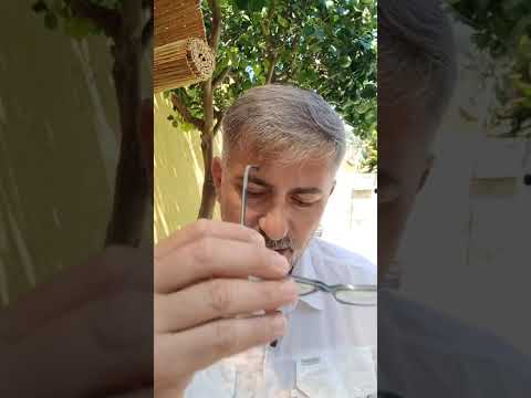 Evangelio del Nuestro Señor Jesucristo Con el Padre Fabian Esteban Oliva. 29/11/25