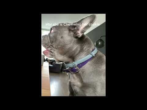 HER BIRTHDAY WAS YESTERDAY!