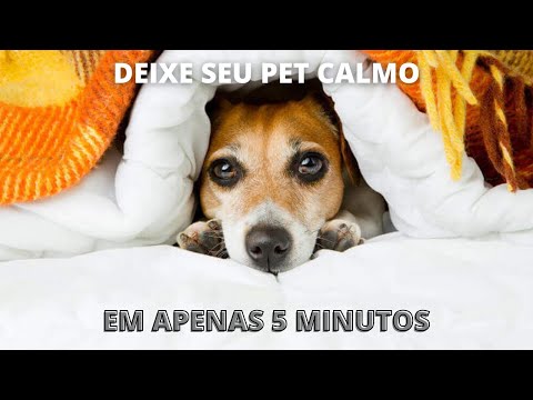 Anti Latido Ultrassônico | Espanta Cachorro (Anti Bark Ultrasound To Calm Dog)