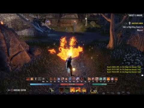 Stamina Dragon Knight 79k DPS