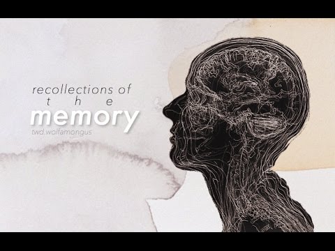 Lee & Clementine | Recollections of the Memory