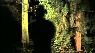 Nick Cave - We No Who U R [ official video + lyrics ]