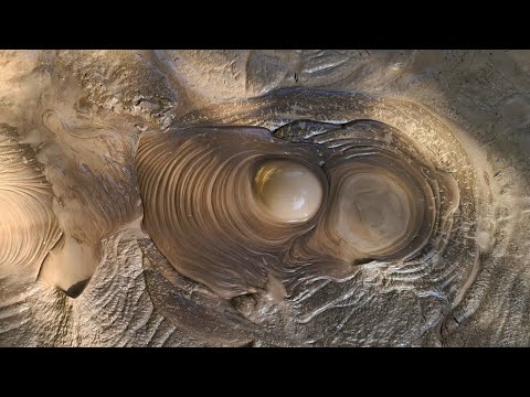 Rotorua - Hot springs and bubbling mud