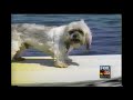 WOFL Fox 35 2000