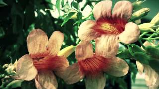 Joris Voorn -  Momo (Börc Phantom Mix)