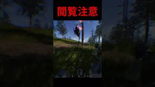 ヘリ墜落で起きた事故 #shorts #wardogs