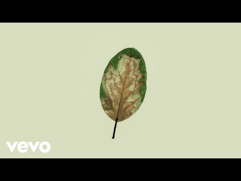 UMI - sorry (Lyric Video)