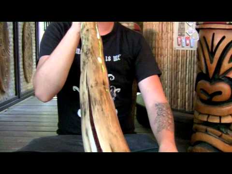 Agave Didgeridoo "BE276" by Brad Evans