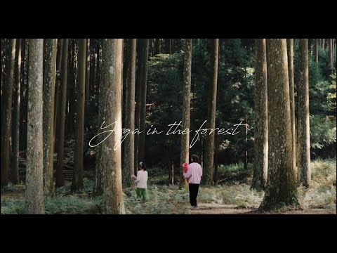 かぶとの森テラス　キャンプ＆ローカルフィットネス【ドローン撮影】観光三重