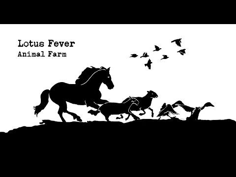Lotus Fever - Animal Farm