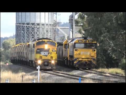 Freight Trains Crossing In NSW Australia Part 2 - 4K