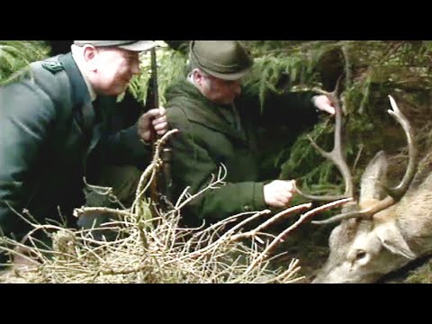 Zum Abschuß freigegeben         #thekenalarm #clausbienfait #olaffritsche