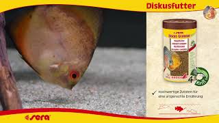 Discus Granulat Nature 100ml