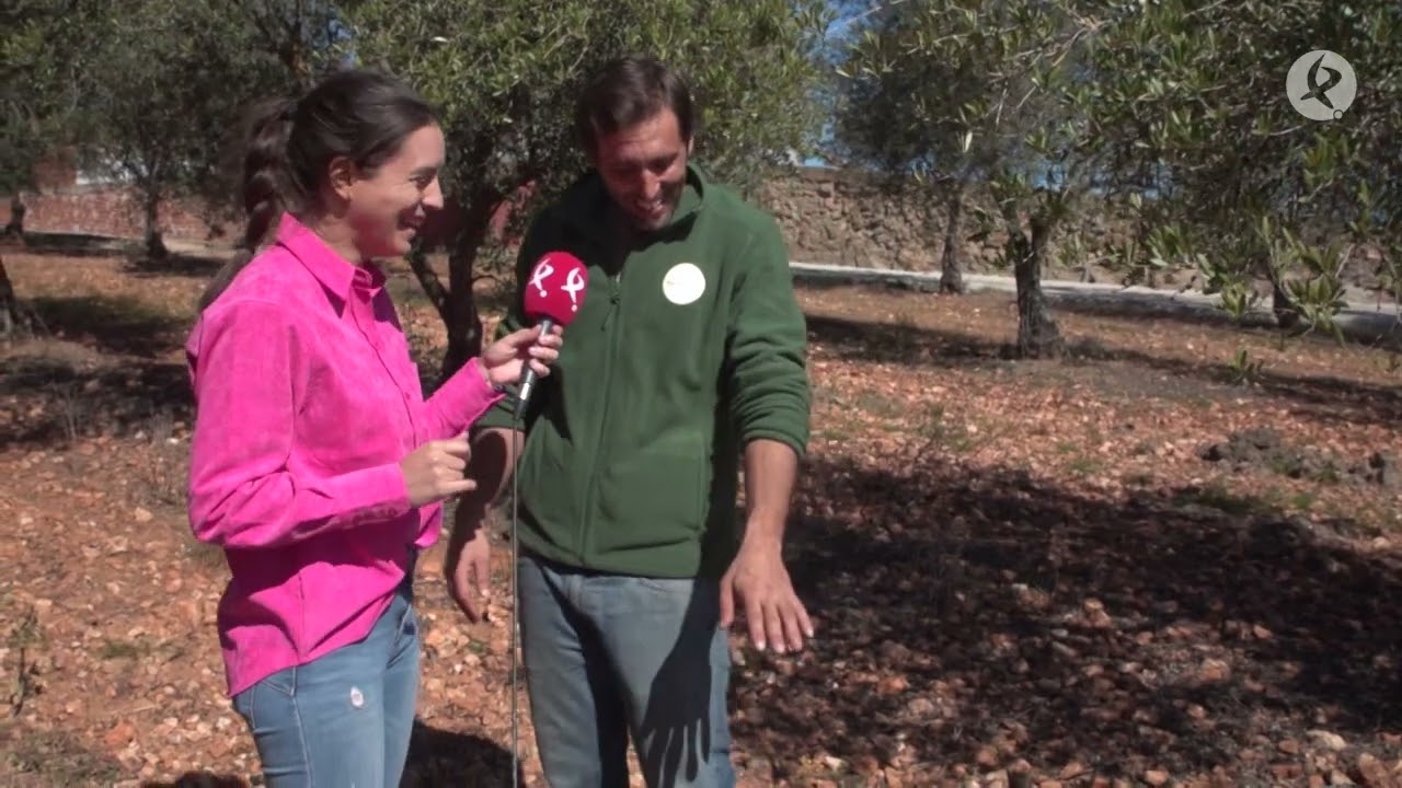 ¿Cuál es el mejor aceite para consumir y por qué | A nuestra salud