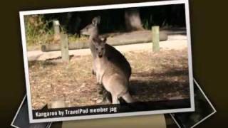 preview picture of video 'Lower Glenelg National Park Jag's photos around Nelson, Australia (lower glenelg river photos)'