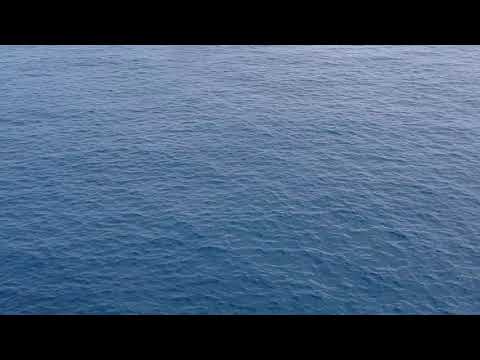 Mantra para que mi amado vuelva a mi!! ❤️🍀