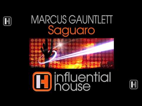 Marcus Gauntlett - Saguaro : Influential House