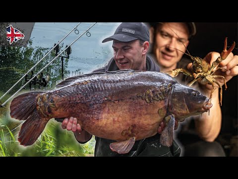 TALES FROM THE LANGRIDGE | Autumn Carp Fishing (WIN 24-Hours with Greg Ellis)