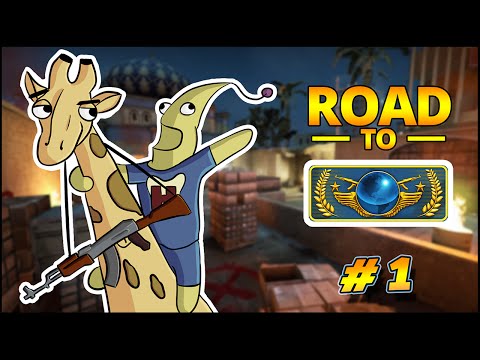 THE BEGINNING ! - Road to Global Elite #1