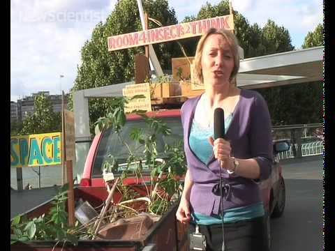 New Scientist TV - Oct 2009