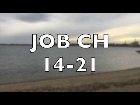 JOB ch 14-21 Second discours d' Éliphaz, Bildad, Tsophar à Job et réponse Job.